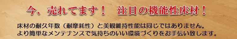 床材の耐久年数（耐摩耗性）と美観維持性能は同じではありません。より簡単なメンテナンスで気持ちのいい環境づくりをお手伝い致します。